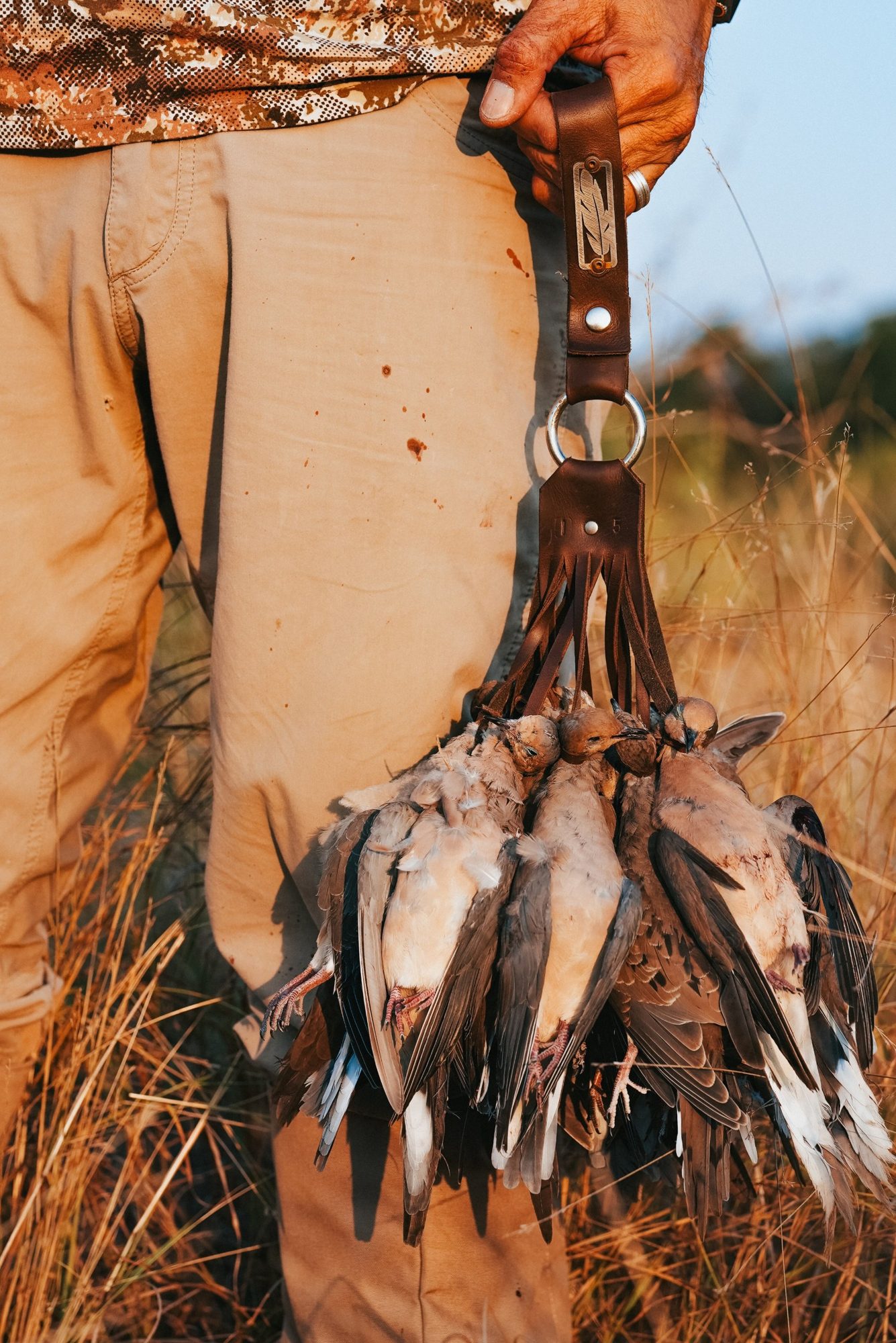 A leather dove strap full of doves at the end of the hunt