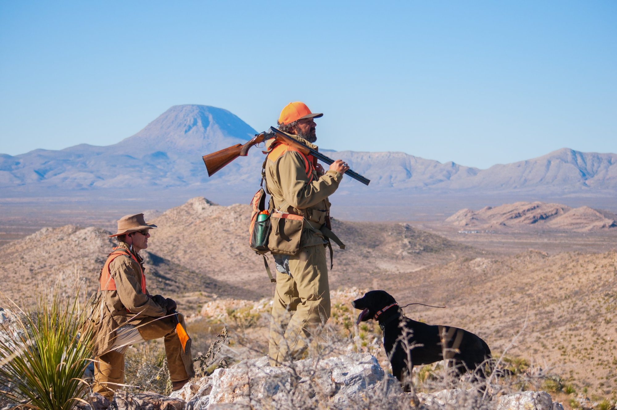 Josh Crumpton quail hunting in West Texas with his Labrador
