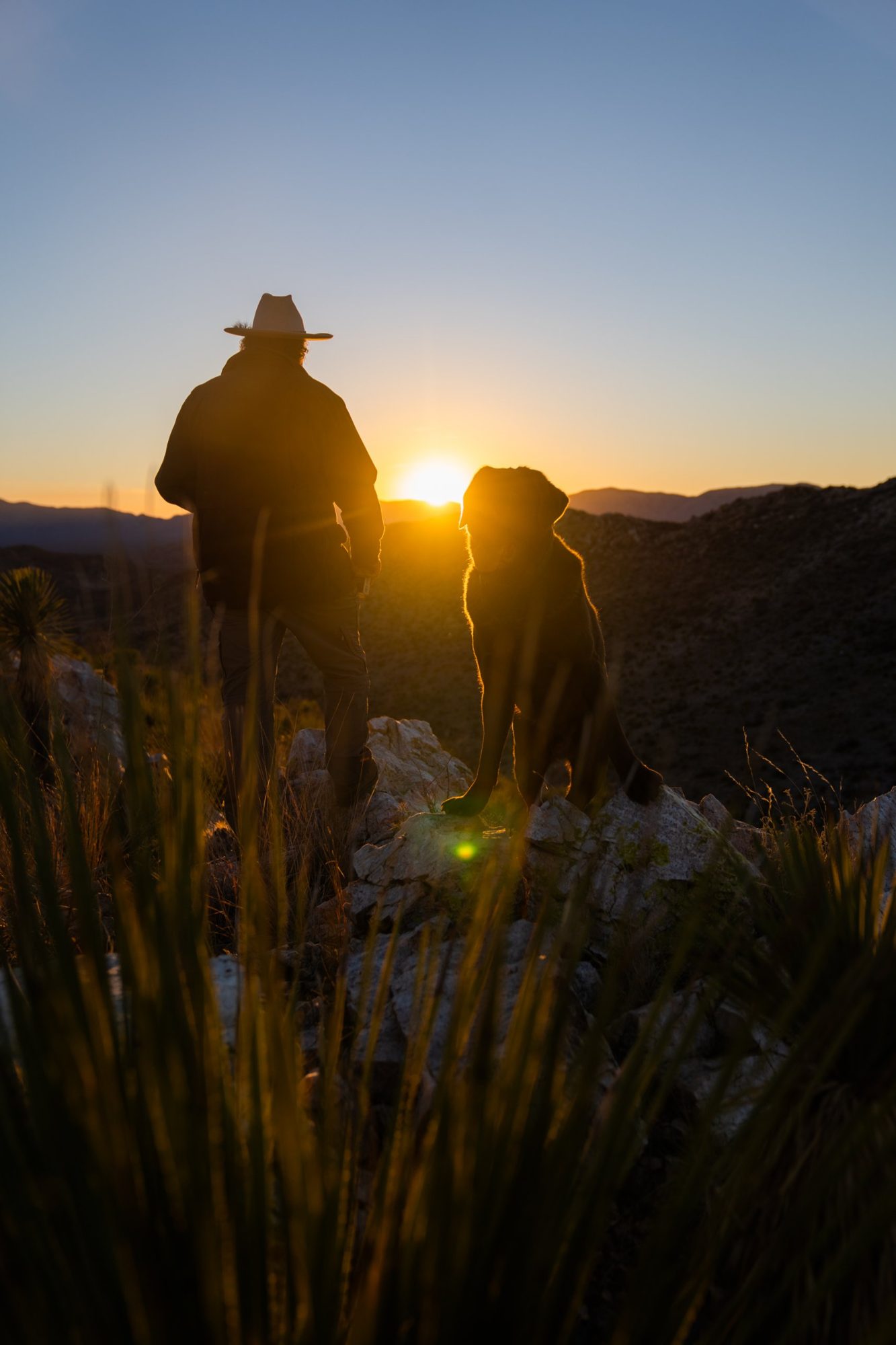 Josh Crumpton and his Labrador at sunset on a hosted hunt